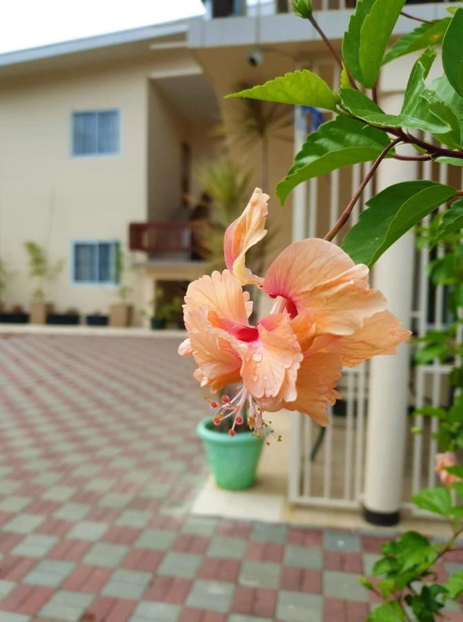 Amalia Apartments Paramaribo Bagian luar foto